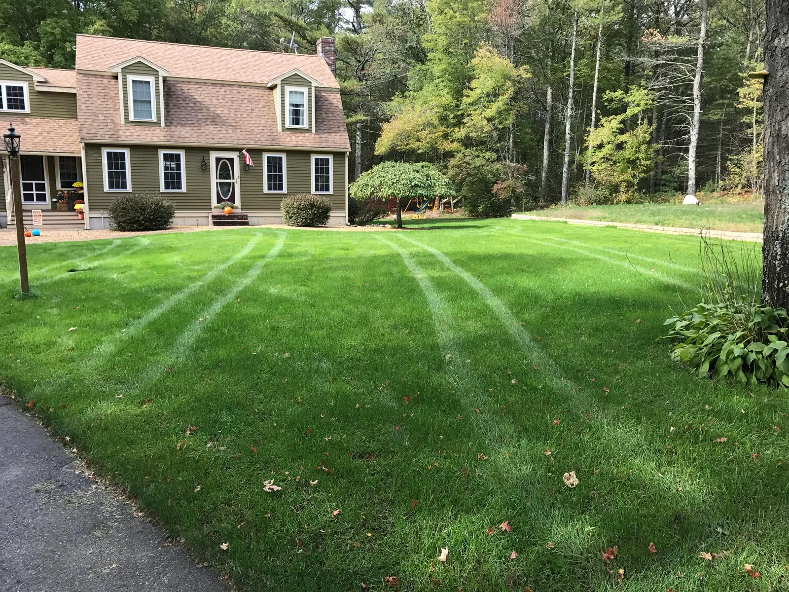 PROTURF lawn transformation