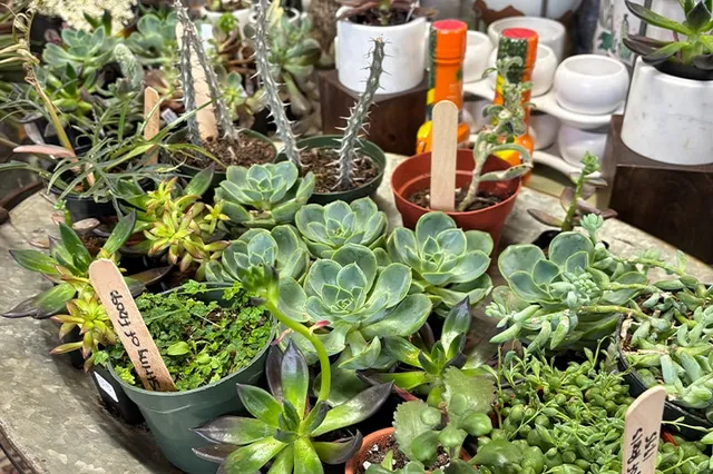 work photo from echobrooknursery.com