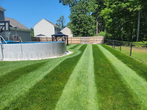 TruGreen Lawn Care work photo