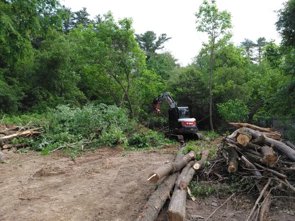 Bobcat skid-steer clearing lot with logs and brush, Southern NH and Northern MA.