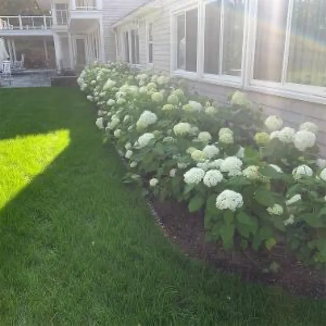 work photo from gentlenaturelandscaping.com