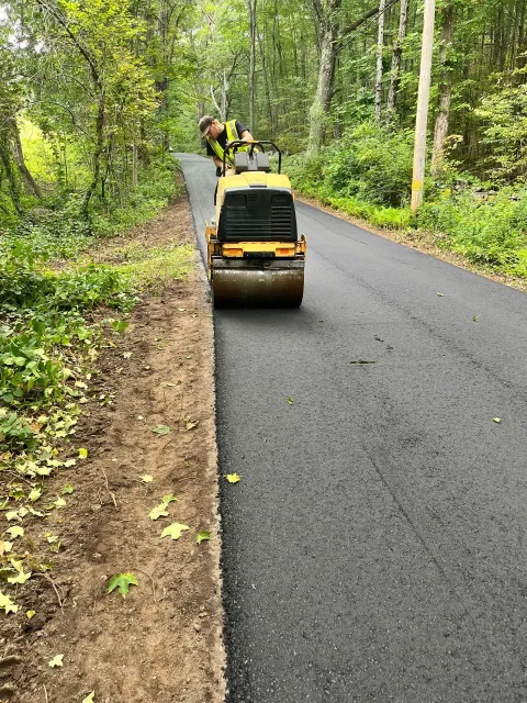 A road roller compacts freshly paved asphalt on a path through a wooded area.