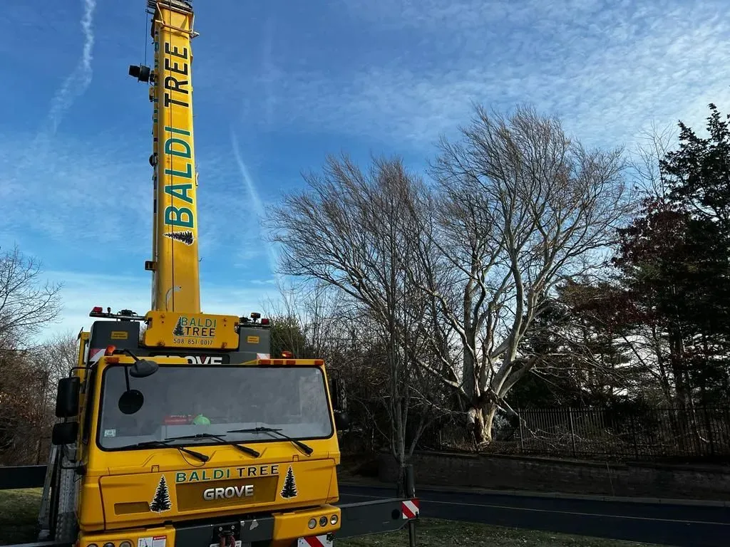 Crane Service