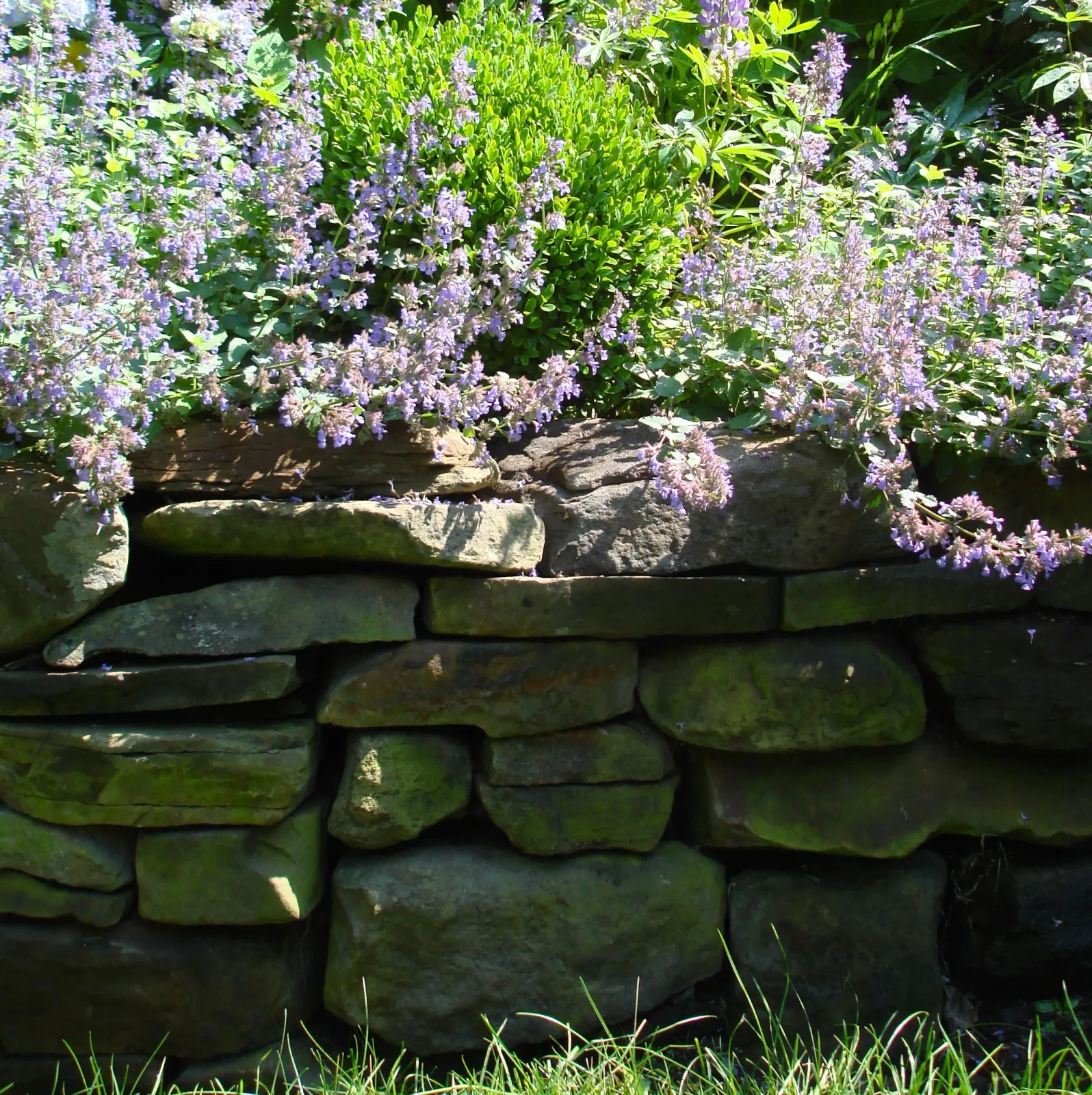 Stonewall With Flower Garden