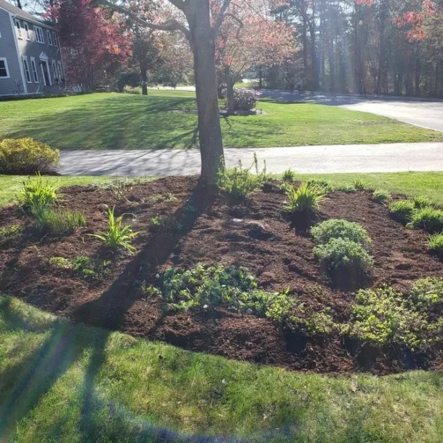 High performance lawn services work photo