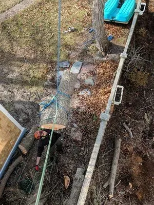 Overhead view of a narrow dirt path with pavers, a fence, and a turquoise cart in a yard.