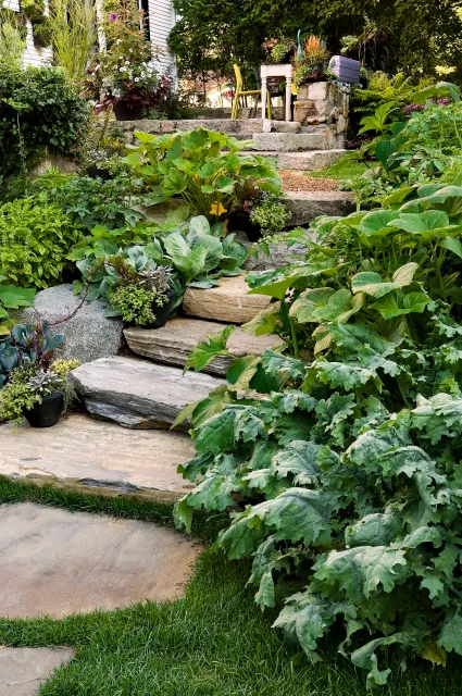 Hugo Design - Landscape Design - Natural Stone Walkway