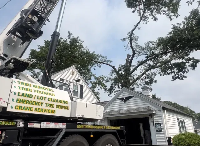 Services_Crane_Servicesjpeg_full_crop