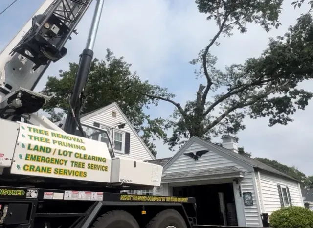 Services_Crane_Servicesjpeg_full_crop