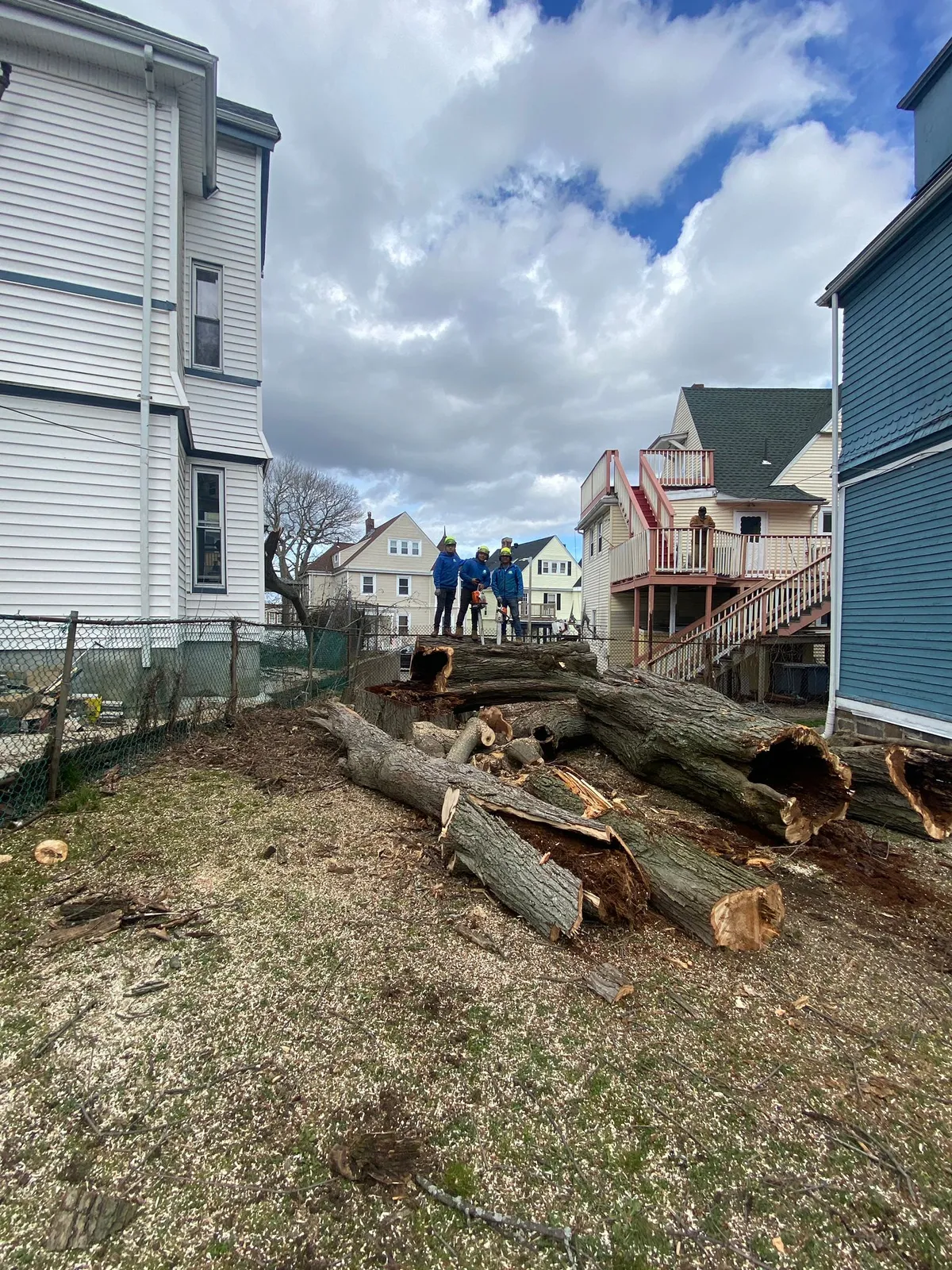 work photo from faithtreeservices.com