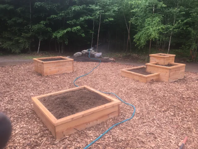raised beds.png