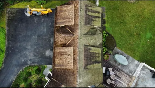 Green Monster Roof Cleaning