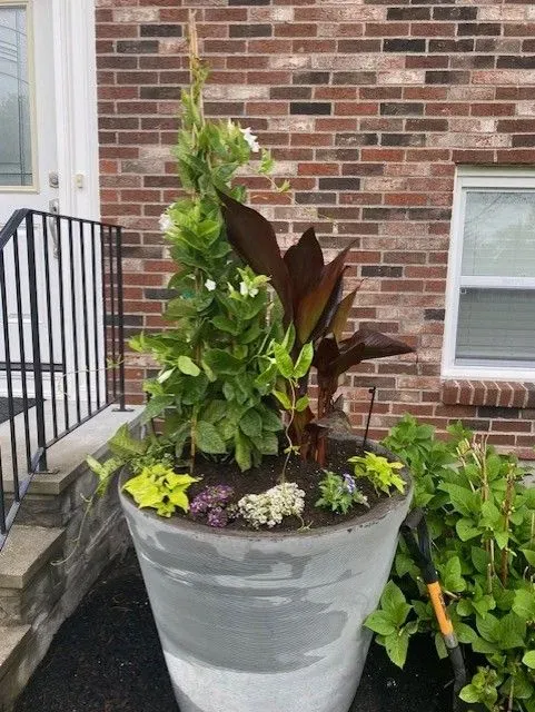 Large concrete planter with various green and burgundy plants in front of a brick building.