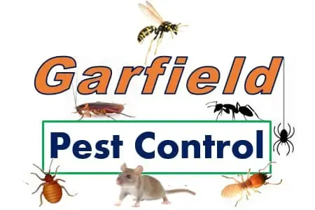 Garfield Pest Control work photo