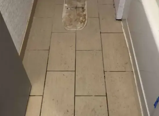 Bathroom floor grout restoration in southern Maine - before photo
