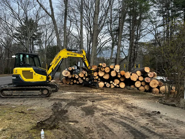 Arborcare Tree Service work photo