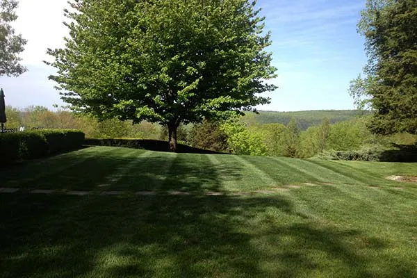 work photo from johnsonsmasonryandlandscaping.com