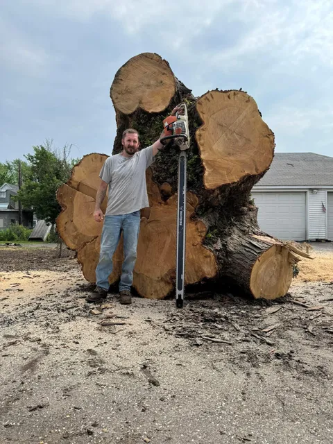 Great Tree Service Inc work photo