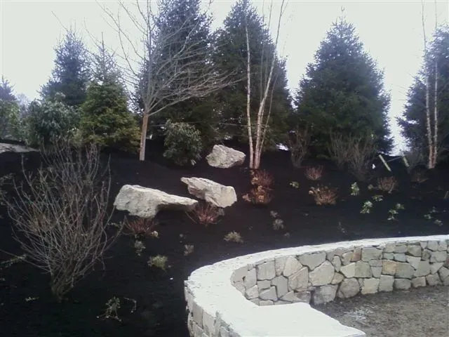 Stone-lined garden bed with dark mulch, evergreen shrubs, leafless trees, and large white rocks.