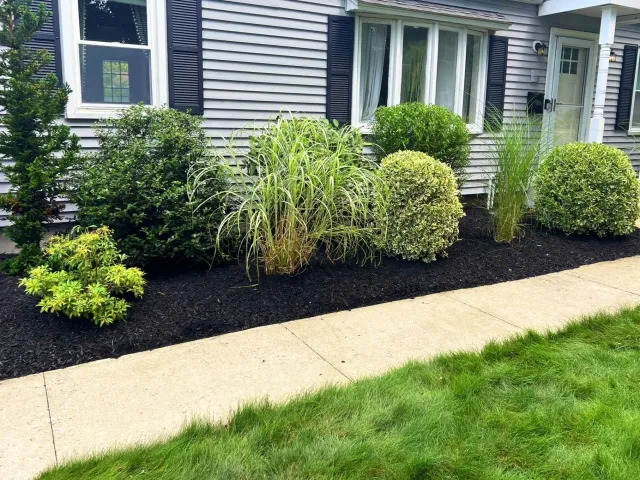 S & S Landscaping LLC work photo