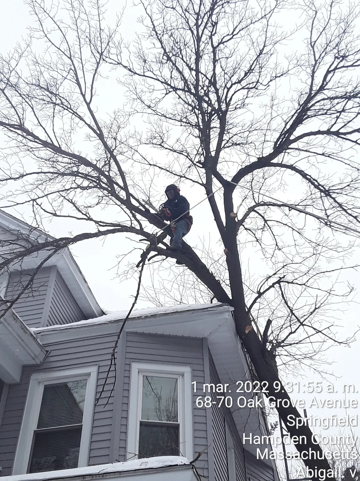work photo from Google listing