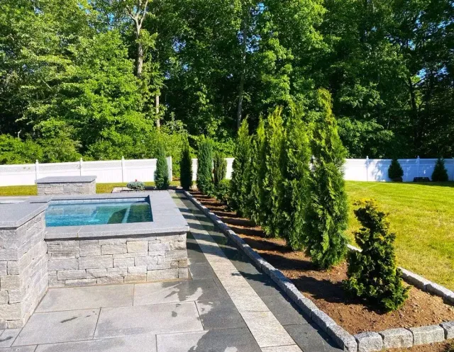 Stone patio with small pool, row of green evergreen trees, and white fence.