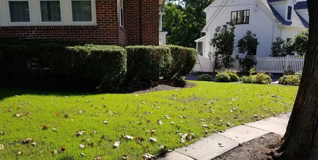 work photo from fairviewlandscapinginc.com