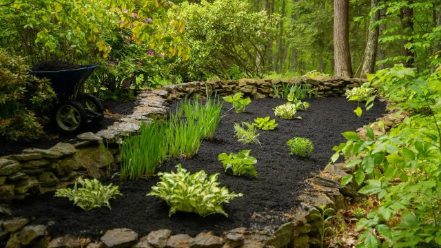 A garden landscaped by ACYS
