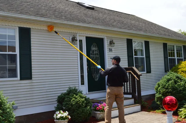Pest Assassins work photo