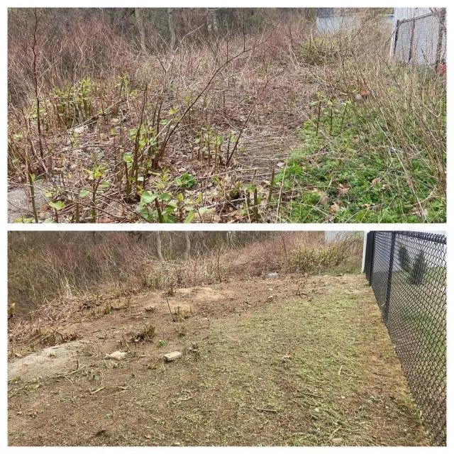 Clean out grass