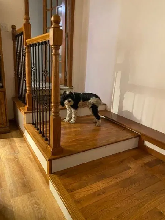 Dreamstate Renovations, LLC - Custom carpentry showcasing wooden staircase with detailed railings and hardwood floors, highlighting expert craftsmanship in home renovation and custom woodwork.