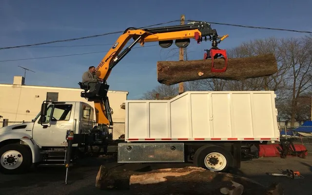 Tree Care & Removal Services