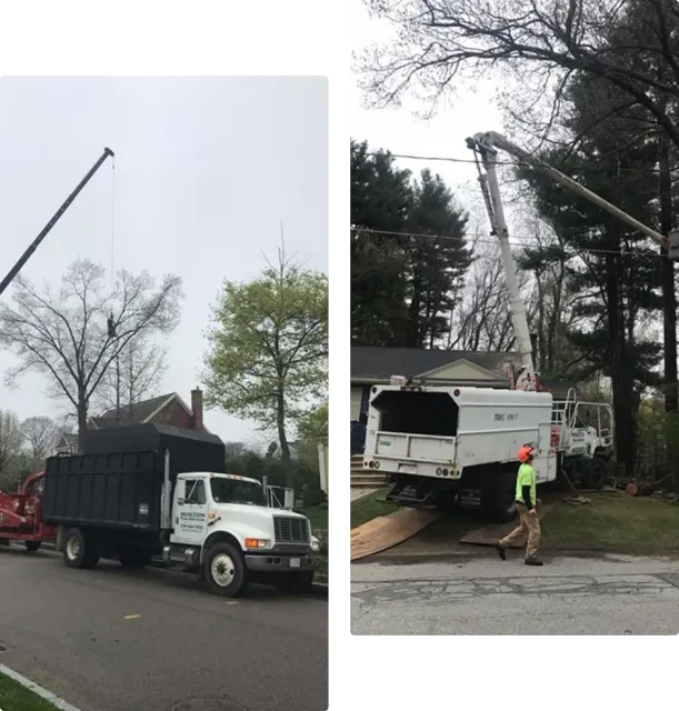 Tree removal truck and chipping operation