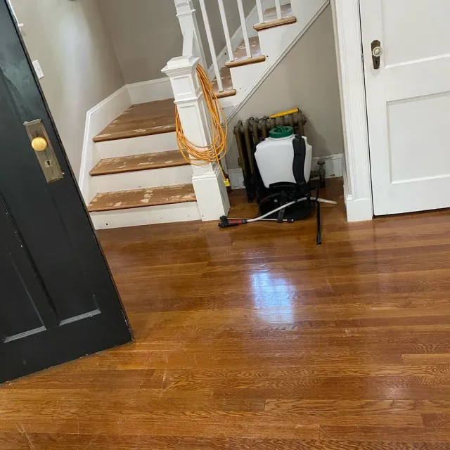 Hardwood Floor Installation for Joyce Floors LLC in Stoughton, MA