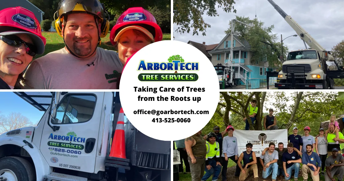 work photo from goarbortech.com