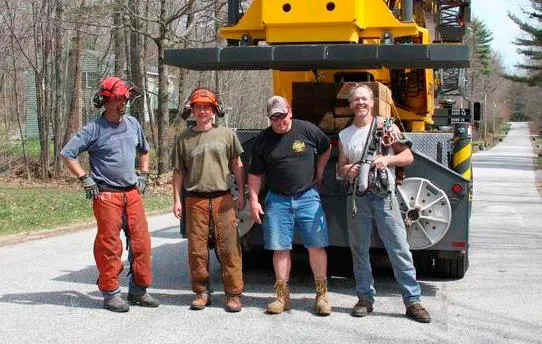 Jim's Tree Service work photo