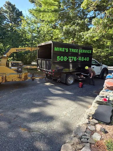 Mike's Tree Services LLC work photo