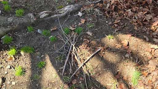 Review photo by Mike Franco