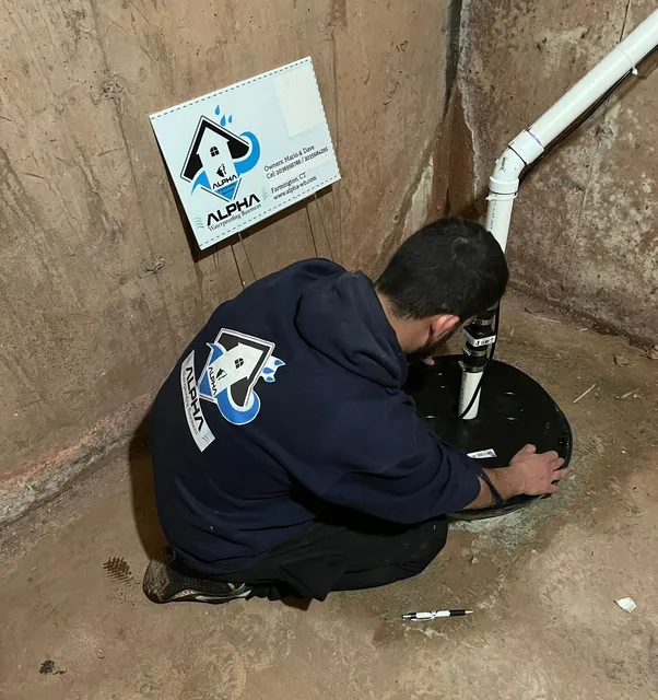 work photo from alpha-wb.com