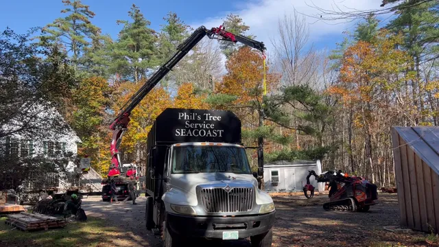 Phil's Tree Service Seacoast work photo