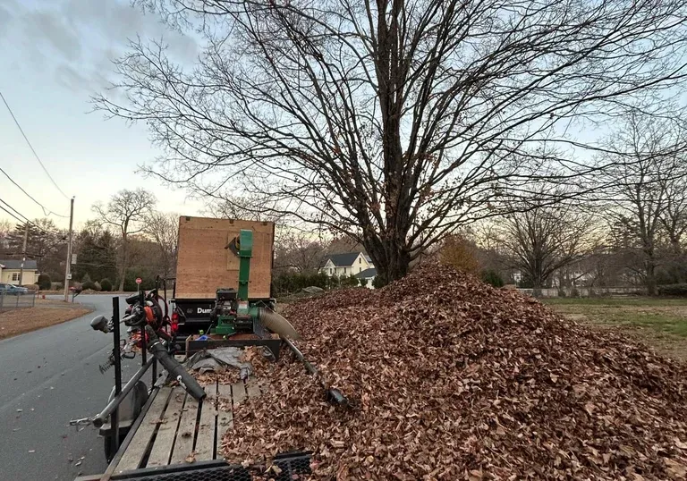 work photo from buellerslandscaping.com