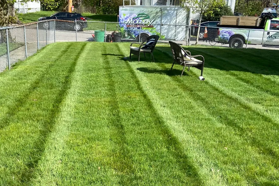 lawn-mowing-milton-ma-01