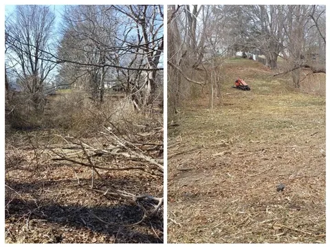 before and after a brush mowing project