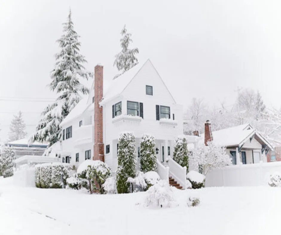 pH Lawn Care - Winter.png