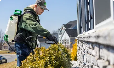 Indoor & Outdoor Pest Control for A Safe Home