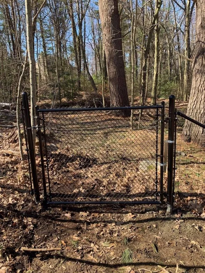 A black metal chain-link gate stands in a wooded area with trees and scattered brown leaves on the ground.