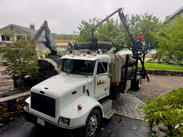 DC Wood Services work photo