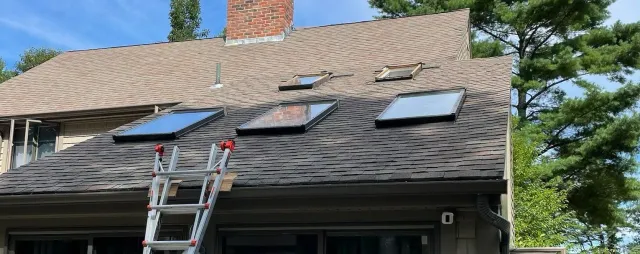Skylight Repair