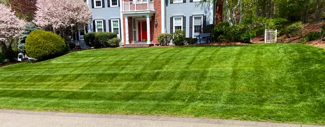 Xcel Landscape Design & Hardscape Inc.