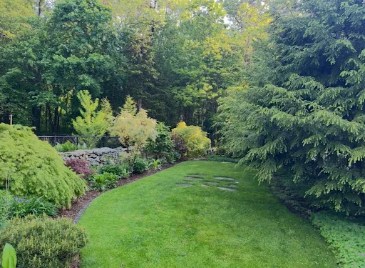 Everett Tree Care LLC work photo